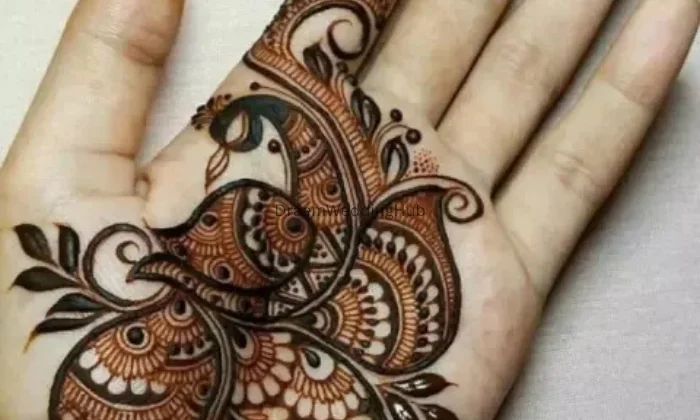 Roohi mehendi designer